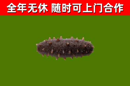 北辰烟酒回收干海参.jpg
